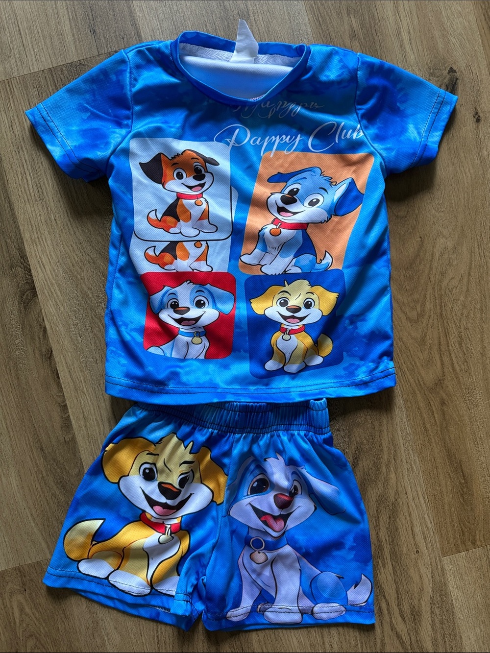 Blue toddler two piece set